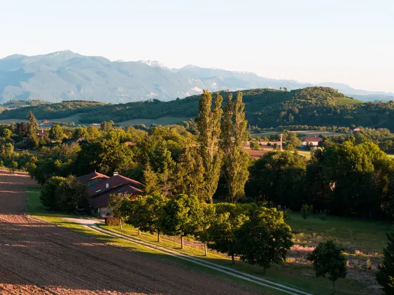 Champs et peupliers dans la plaine, massif du Vercors en arrière-plan